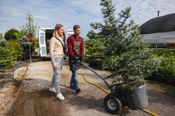 Best Stump Grinding and Removal  in Pickens, SC